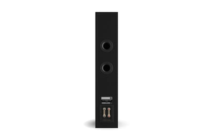 CD50n & Model 50 w/ DALI OPTICON 6 Mk2